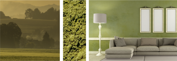 Green fields pigment example (mockup)