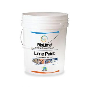 Lime Paint Bucket
