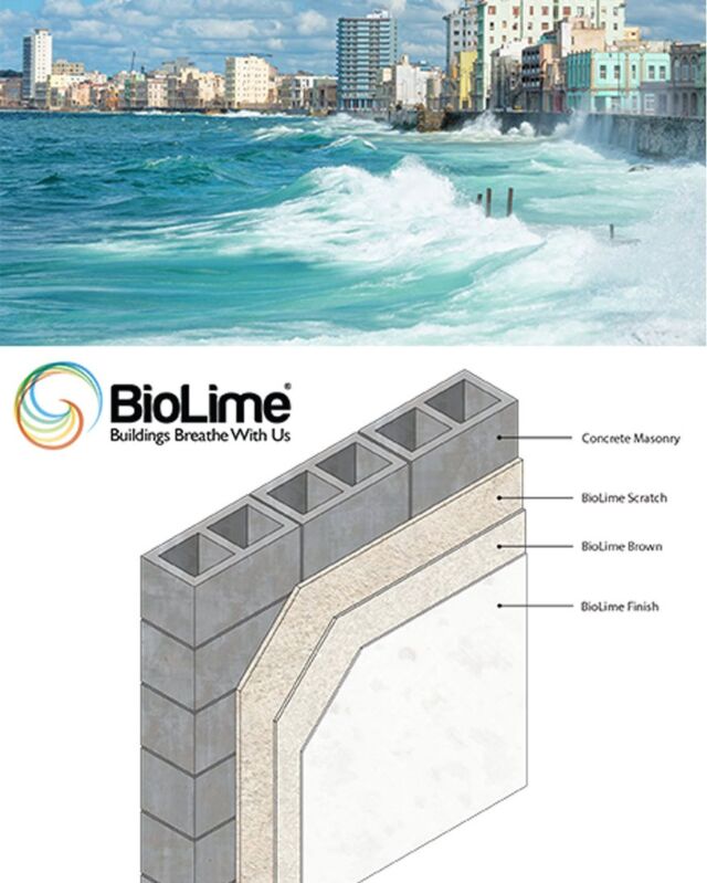 Durable and Sustainable Lime Plasters and Lime Mortars